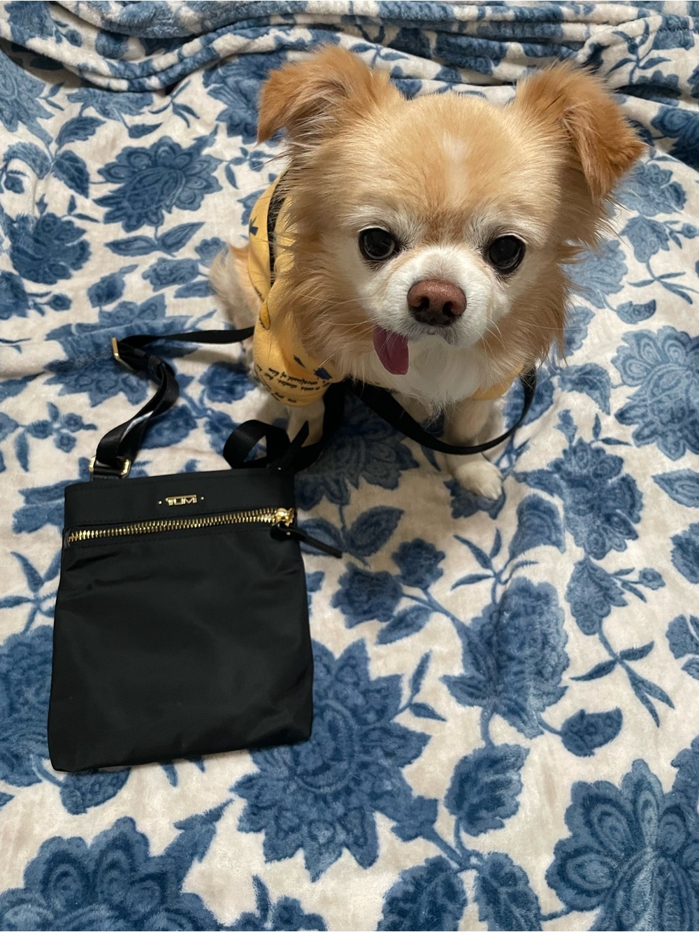 Tumi Black Crossbody with Gold Hardware Accents